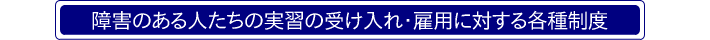 障害のある人たちの実習の受け入れ・雇用に対する各種制度